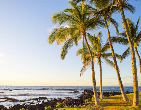 Mauna Lani Resort Vacation Rentals