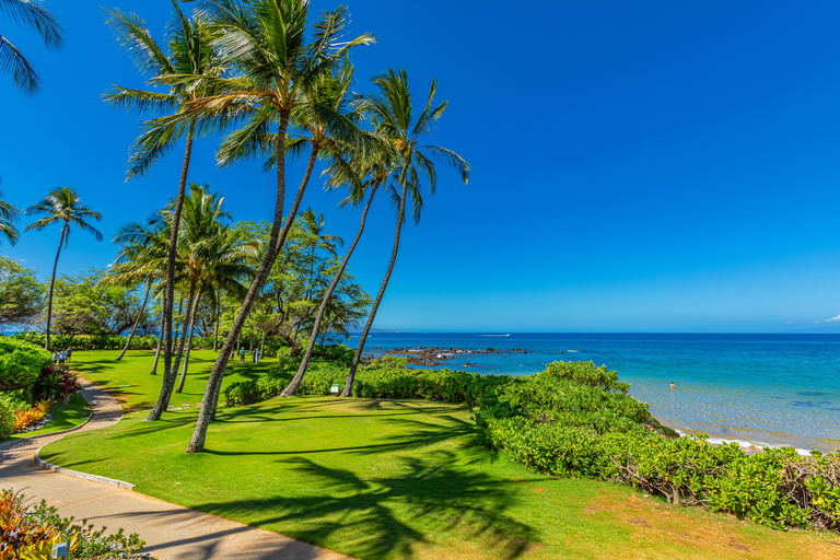 Maui Rentals