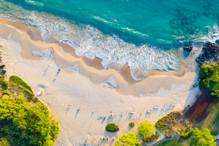Sunny tropical beach in Hawaii during the winter holiday season with palm trees and ocean waves